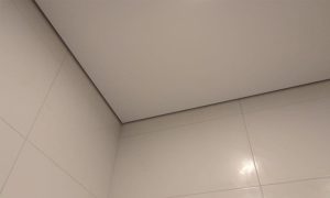 Теневой еврокраб